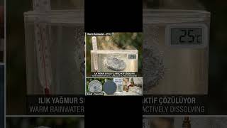 Yağmur suyu kireçli saksıdaki rolü sulama suyu ile ilgili edindiğim bilgiler #organiktarım #bahçe