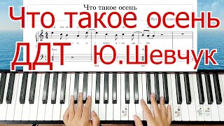 картинка: Что Такое Осень ДДТ Шлягер За Вечер ПОНАЯ ВЕРСИЯ РАЗБОР Для Начинающих
