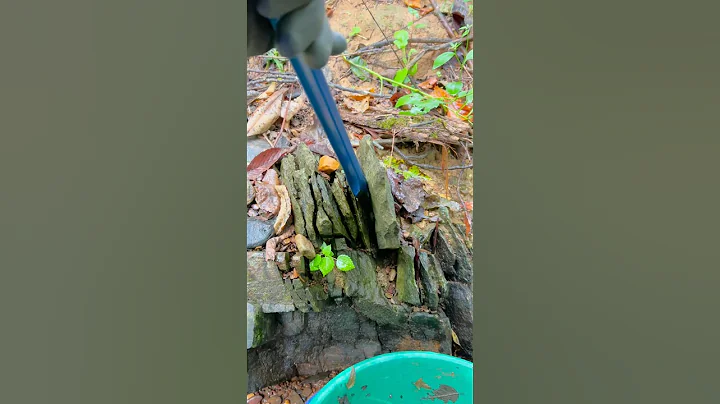 Cracking Bedrock for awesome Gold while Gold Prospecting! Panning for Gold!!!