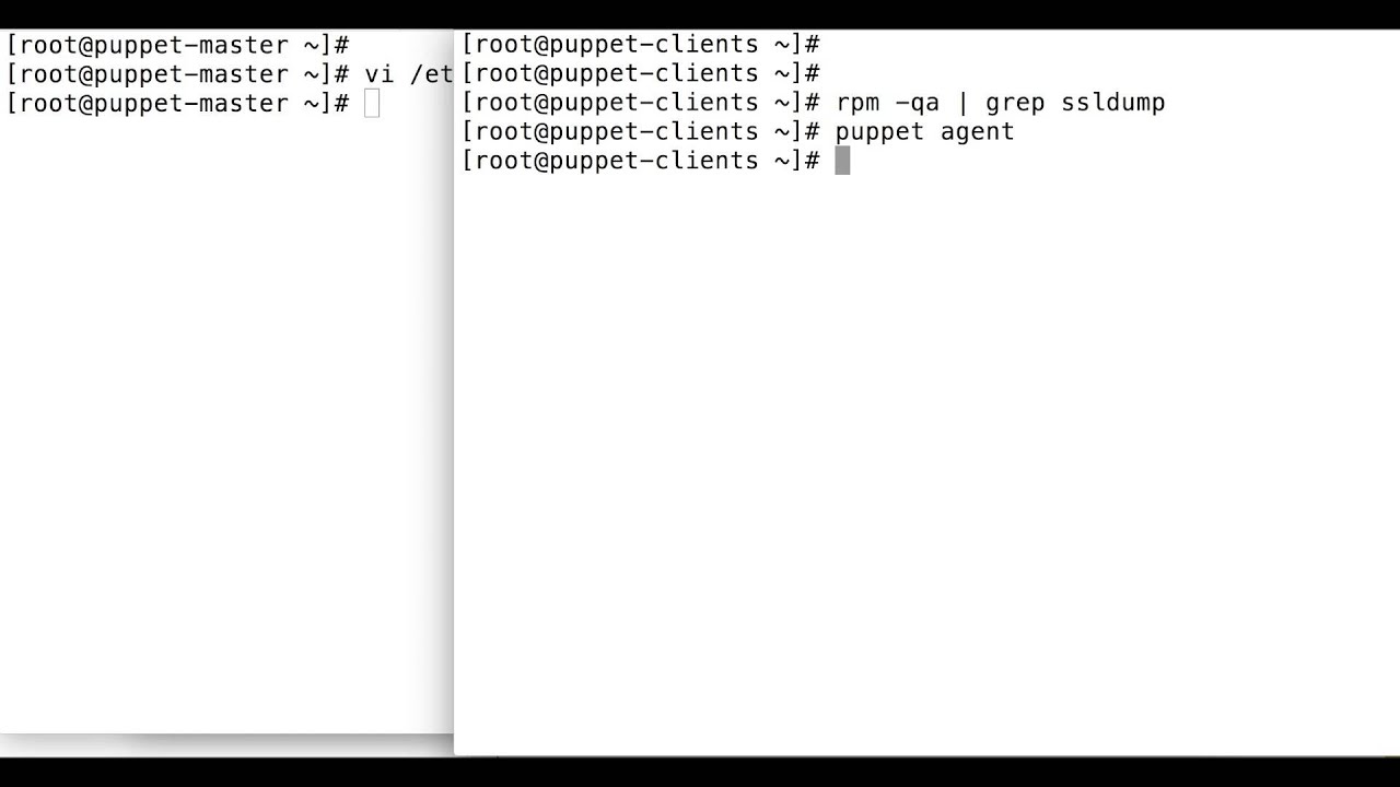 rpm package installation using puppet