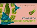 Наши собратья по ядру. Эукариоты. Естествознание 8.3