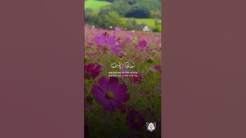 #تلاوة من #سورة_الإسراء بصوت #عبدالمحسن_الضباح #قران #قرآن_كريم #آيات #استغفرالله #الحمدلله #quran