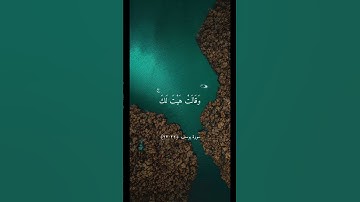 تلاوة خاشعة بصوت القارئ اسلام صبحي ارح سمعك #اسلام_صبحي