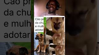amazing footage of dog 🐕🐶 covering her puppy in raining