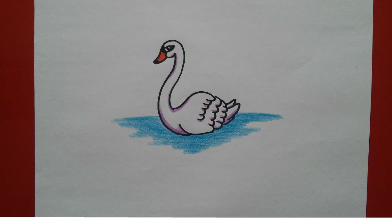 COMO DIBUJAR UN CISNE PASO A PASO - HOW TO DRAW A SWAN - thptnganamst.edu.vn