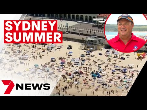 Sydney summer is back in full force  | 7news