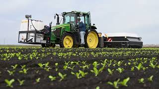 Lettuce Thinning Results with ARA™ UHP Sprayer