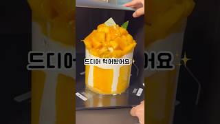 #성심당 #망고시루 #망고케이크 #망고롤 #디저트브이로그 #대전맛집 #대전여행 #케이크맛집 #케이크 #망고