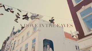 A Dove In The Eaves Rumi Coleman Barks Cinematic Den Haag
