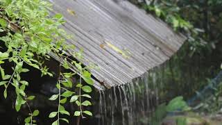 heavy rain walkthrough | detox negative emotions | meditation for anxiety | autogenic training |Rain
