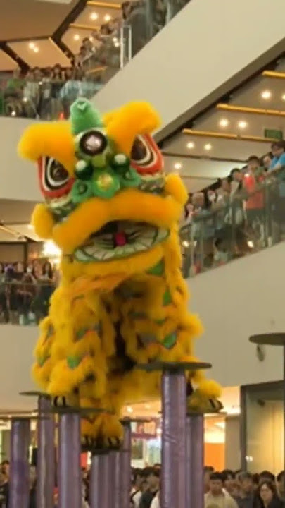 Pasukan Sukan Nam Sieng Johor LionDance Championship Association Lên Xuống Bình An 👍