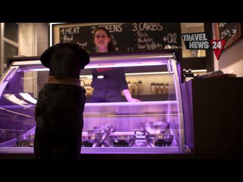 Video: Berlino Apre Un Ristorante Gourmet Per Animali Domestici