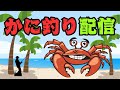 【カニ釣りビッグカツvsするめジャーキー🦀】 #釣り #カニ釣り #マンディー
