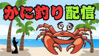 【カニ釣りビッグカツvsするめジャーキー🦀】 #釣り #カニ釣り #マンディー