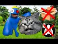 KUTUYA GİRMEK ve ÇÖMELMEK YOK | Rainbow Friends 2 Meydan Okuma