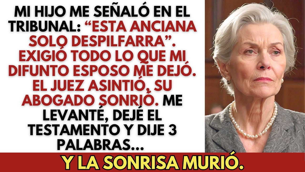Audiencia de herencia: mi hijo lo exigió todo—una frase mía heló al juez.