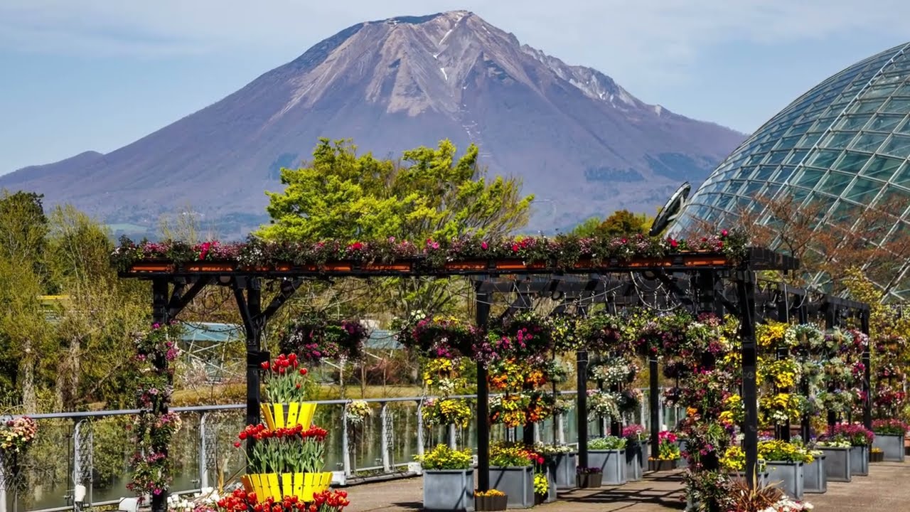 〜　とっとり花回廊　〜