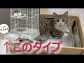 引き出しトイレ付き猫用ケージに内に入るトレイを見つけた