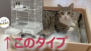 引き出しトイレ付き猫用ケージに内に入るトレイを見つけた