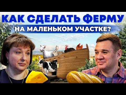 Как делать домашний хлеб и сыр? Прибыльная и компактная ферма с нуля | Андрей Даниленко