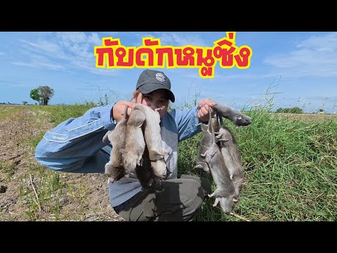 เลาะหนู