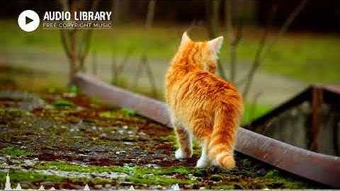 Scheming Weasel faster version   Kevin MacLeod No Copyright Music