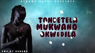 Awo By Ashama Official Lyrics Video