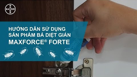 Diệt gián dạng bả Maxforce® Forte Ɩ Hướng dẫn sử dụng sản phẩm