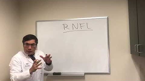 Retinal Nerve Fiber Layer (RNFL)