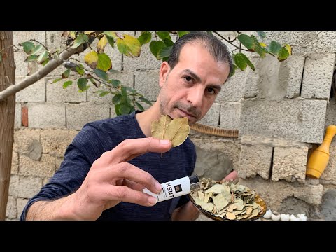 عليكم بحرق ورق الغار بالمنزل يومي ا لهذه الاسباب طاقة إيجابية وطرد للسموم والبعوض وراحة نفسية الخ