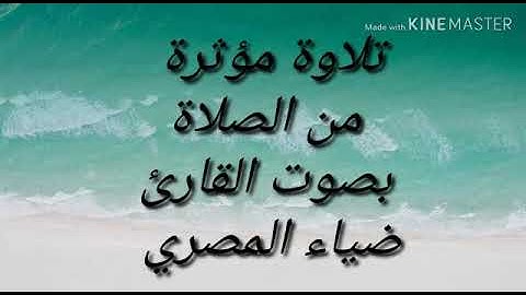 الشيخ ضياء المصري وتلاوة رائعه من الصلاة