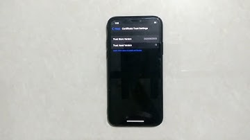 How To Find Your Trust Store Version Number On iPhone X | Certificate Trust Settings