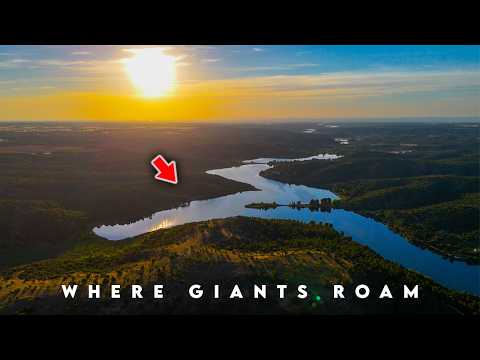 The Hunt For Spanish Giants - FULL MOVIE