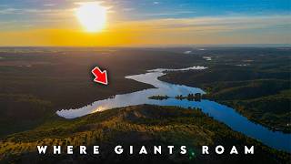 The Hunt For Spanish Giants - FULL MOVIE