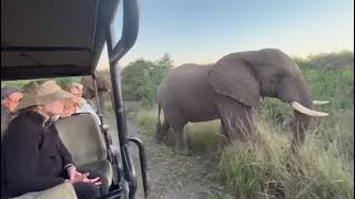 Volunteers Academy at Thula Thula. A life changing experience