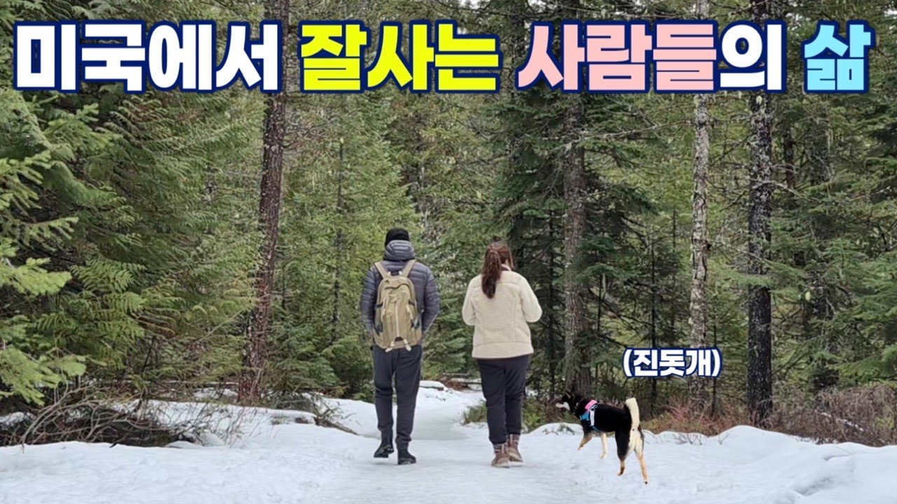 🇺🇸 미국에서 잘사는 사람들의 삶 | 네눈박이 진돗개 | 블랙탄 | 진돗개 입양 | 옐로우스톤 여행