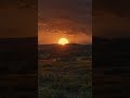 MizuSF _ Quiet Countryside Sunset – Where Peace Comes Home [1]