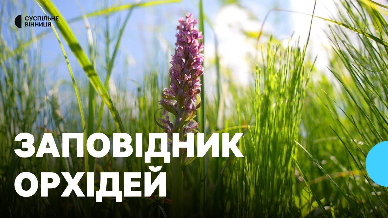 На Вінниччині створили заповідник червонокнижних рослин
