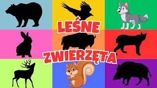 Zwierzęta W Lesie Odgłosy Zwierząt Leśnych Zgadnij Co To Za Zwierzę