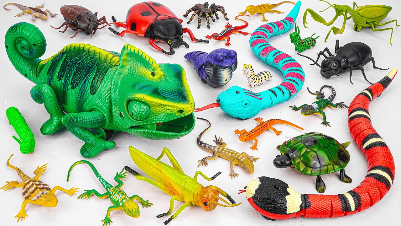 ZURU ROBO ALIVE COLLECTION | UNBOXING Robot Chameleon, New Robo Alive Giant Snake creepers