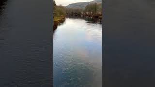 Discovering The Charm Of Kenmore Village  Perspective That Captivates  kenmorevillage