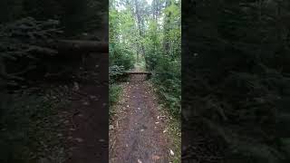 Canoe Launch Trail To Helldivers Pond