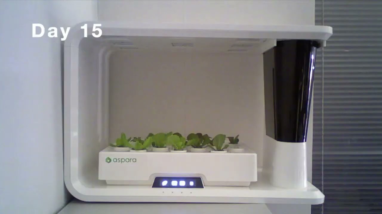 家庭菜園デビューに！特許技術でグングン成長！30日で収穫【室内用水耕