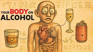 How Alcohol Changes Your Body