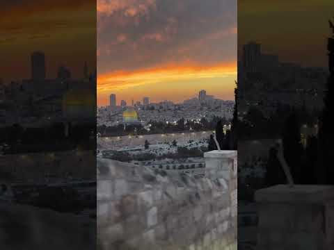 يا من لا يهزم جنده ولا يخلف وعده ولا إله غيره كن لأهلنا في غزة عونا ونصيرا 