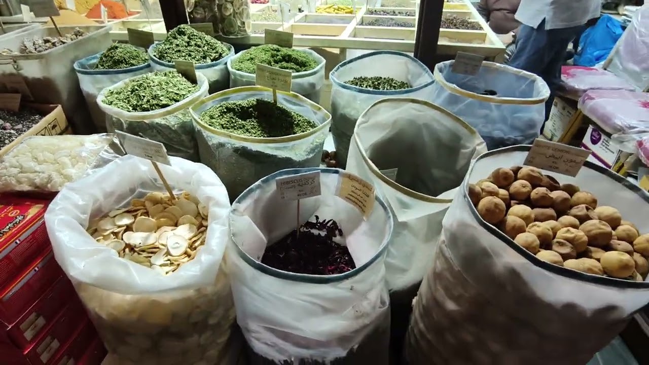 KATAR Doha Şubat 2026