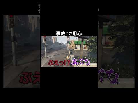 【GTA5】事故にご用心【リアプロRP/切り抜き】