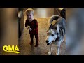 Mom and husky teach toddler to howl