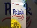 Palak #calligraphy #handwriting #nameinsand #asmr #nameart #satisfying #sandcript #sandart #shorts