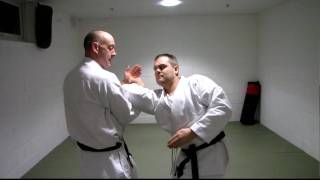SX02320 Jujitsu demonstration: Three arm locks from a standing position